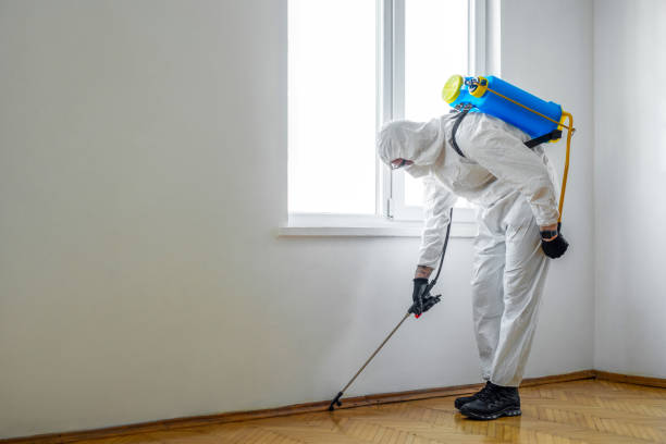 Best Flea Control Services  in Sully Square, VA