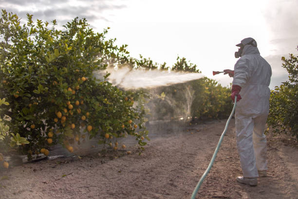 Best Residential Pest Control  in Sully Square, VA