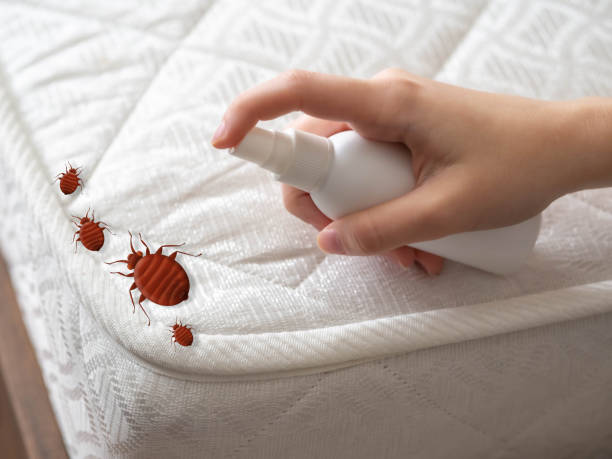 Best Best Pest Control Companies  in Sully Square, VA