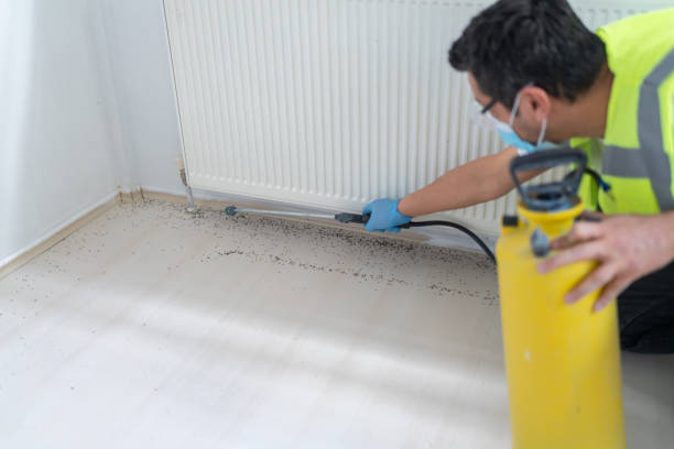 Pest Control Cost in Sully Square, VA
